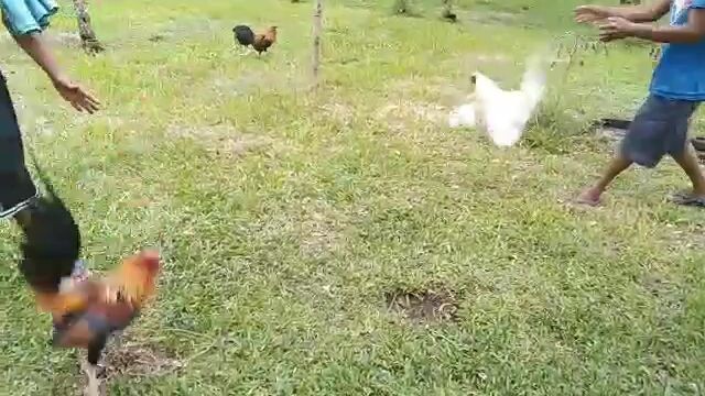 sa pula sa puti cno magaling