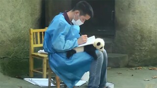Pandas and the Keepers