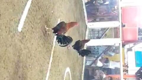 2hits ulutan nov.13 2025 firstfight barras cockpit