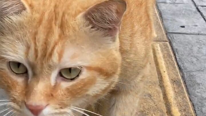 Hello stranger