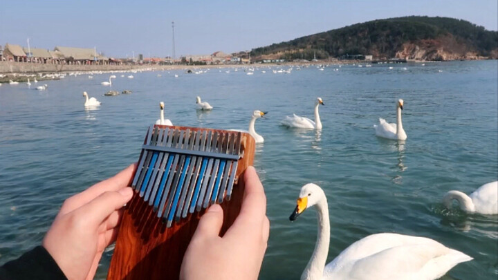 Kalimba Cover | 'Blue Bird' 