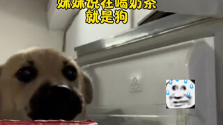 หมา : ฉันเพิ่งเปิดประตูตู้เย็นแบบไร้เดียงสาขนาดนั้นเลยเหรอ?