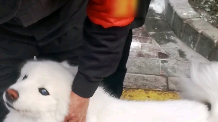 Kembalikan cinta ke masyarakat❤️Kata-kata pemulung membuatku menangis