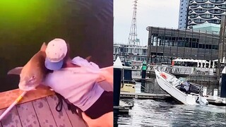 Boat Fails and Wins - Best of The Week | Part 285