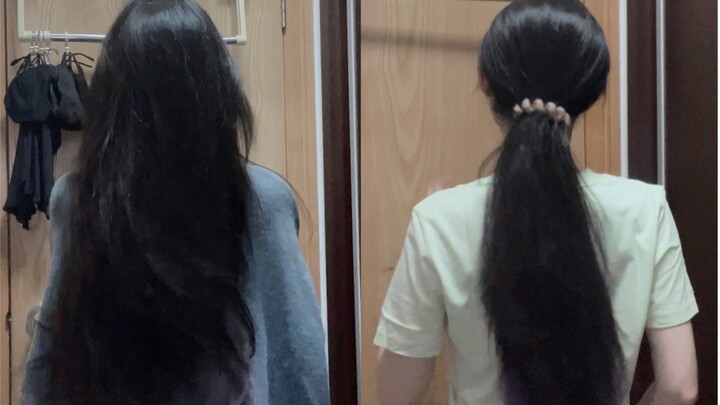 Raja jumlah rambut hh