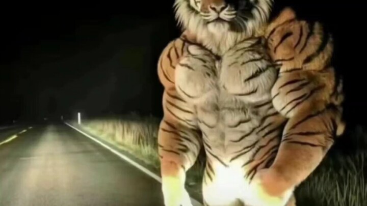 Đã tiêu diệt một con hổ!