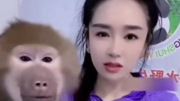 The female streamer turned on her beauty filter, and the monkey couldn’t believe its eyes.