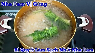 Công thức nấu Nước NHA ĐAM VỊ GỪNG siêu ngon | Bí Quyết sơ chế NHA ĐAM sạch nhớt đơn giản