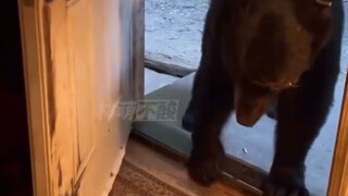 The Spirituality of All Things