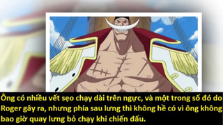 Những vết sẹo để đời trong One Piece p2