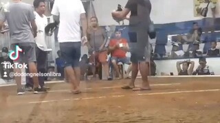journey of the champions 😁