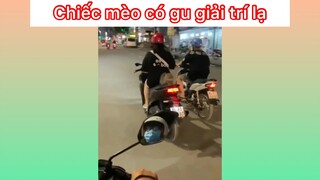 Gu giải trí lạ