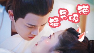 【锦衣之下｜陆绎：这才是猛男应该养的猫】【绎夏｜陆大人吸猫上头了】