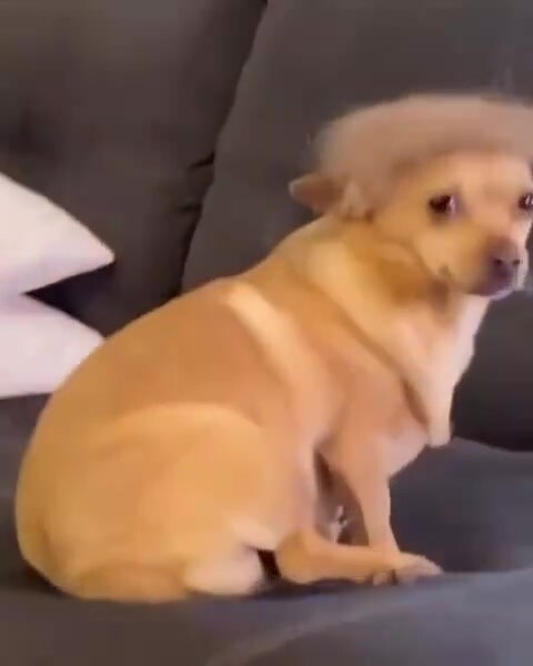 No one knows hair better than me.