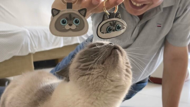 Khi bạn có một ông bố mê làm đồ thủ công yêu mèo