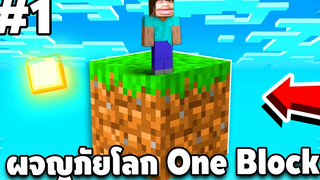 Minecraft - เอาชีวิตรอดบนเกาะ One Block 1 Minecraft 1181 easy boy