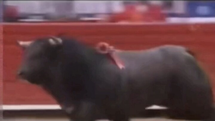 Ngưu: Tôi hỏi các bạn, số tiền này có đáng không? Nói đi nào [cười]