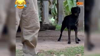 Kiếp này coi như bỏ 😂