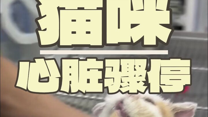 หมดลมหายใจแล้ว? หัวใจหยุดเต้นแล้ว??