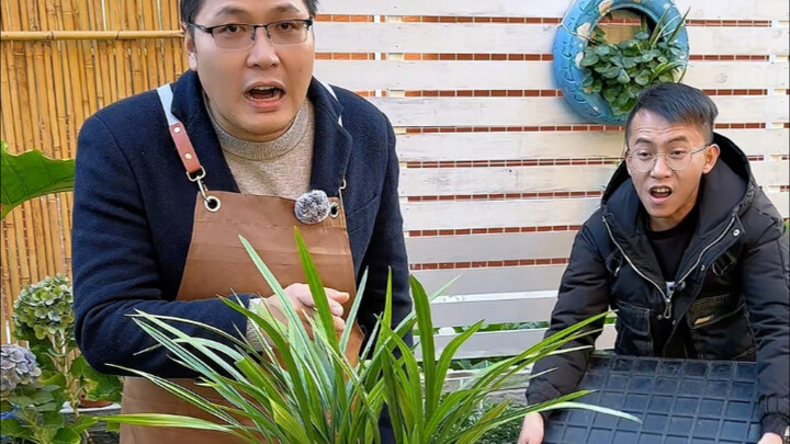 Memorize this rhyme, and watering your plants will be a breeze!