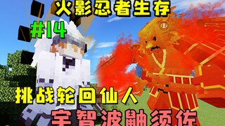 开启轮回眼！集齐全部尾兽挑战六道仙人！