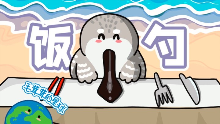 【طائر المقاور】 طائر صغير يحمل ملعقة طعام معه، ولم يتبق منه سوى بضع مئات فقط!