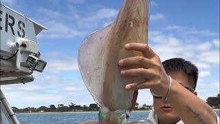 这算不算跳跳鱿鱼的天花板