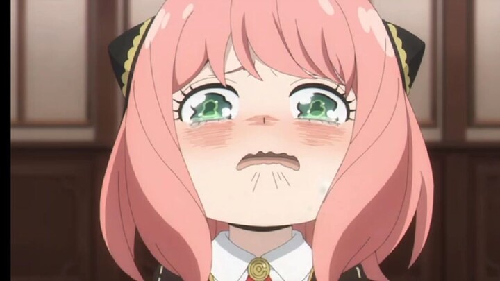 :"Anya chỉ muốn xin lỗi mà!!