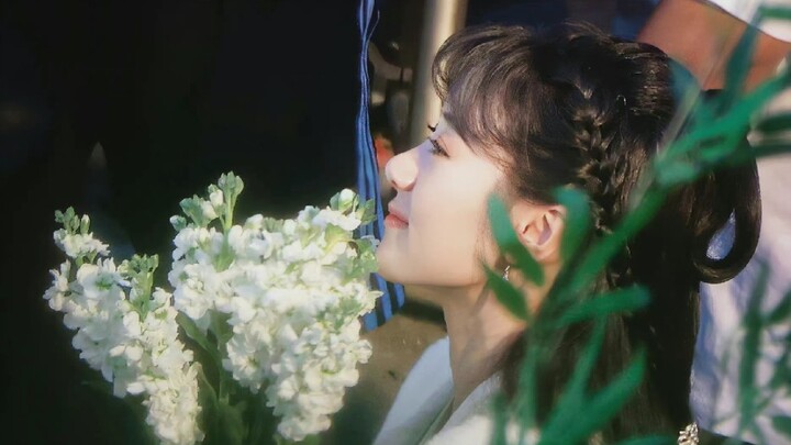 袁冰妍十二花神系列