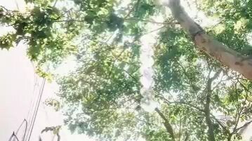 FULL EPISODES❤️ TAGALOG ❤️ ROMANCES