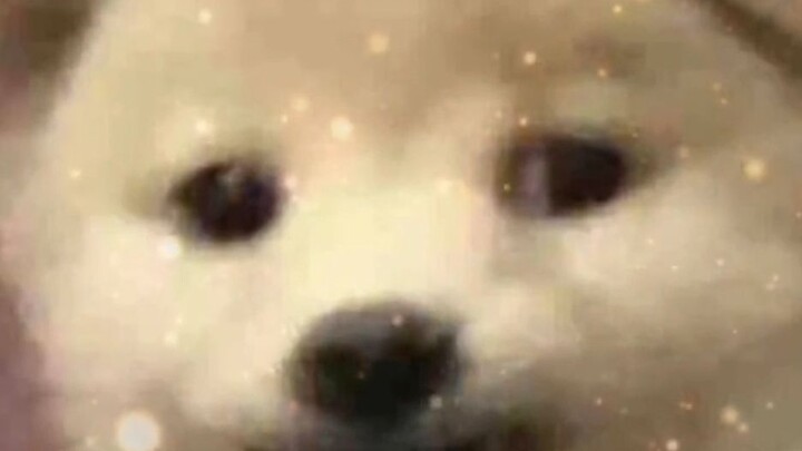 นี่มันเป็นพิธีกรรมพิเศษอะไรกันนะ?