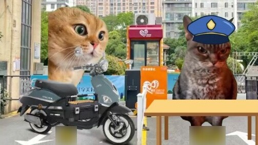Sư phụ: Bạn đang xúc phạm nghề nghiệp của tôi.