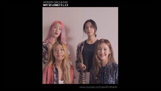 [MASHUP] 원더걸스 (Wonder Girls) & EXID - Why So Lonely X L.I.E (Live Ver.)
