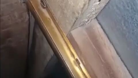 maling domba jadi jadian