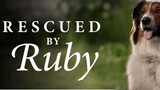 Rescued by Ruby || 2022 🐕‍🦺