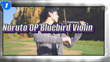 Violin Cover -  Bài Hát Mở Đầu Naruto Phấn Khích Nhất: Blue Bird_1