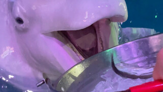 ถึงเวลาเติมน้ำแล้ว