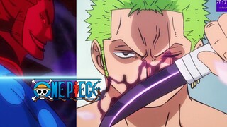 海贼王专题#267: 和之国动画开篇 索隆归来和潜伏的武士