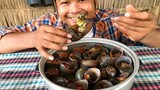 Cooking Turbo Snails Recipe - Cooking Snail for Food Eating delicious