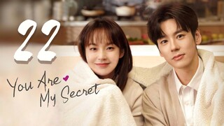 🇨🇳EP22 | YAMS: My Secret Love [EngSub]