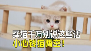 💰 Money-saving tips for buying cats: 4 smart questions to ask 💯