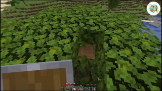 Cách bunny trong minecraft