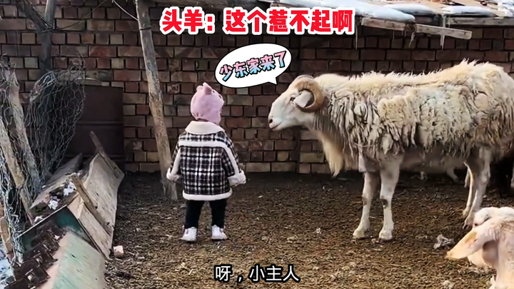 Người dẫn chương trình: Thiếu gia đến kiểm tra, cẩn thận nhé.