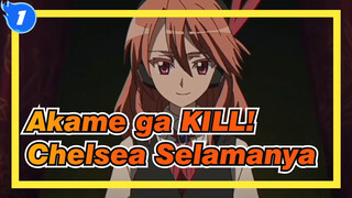 Akame ga KILL! | Chelsea Selamanya_1