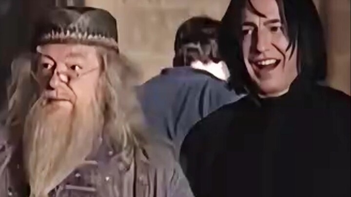 So this is what Dumbledore and Snape are really like!