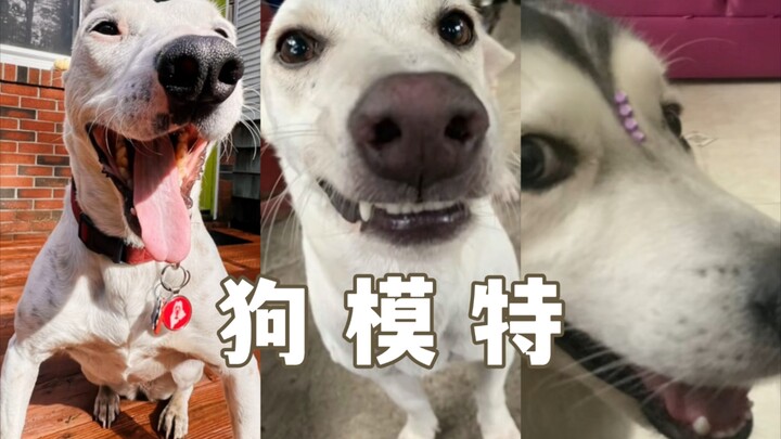 我是街头摄影师，我能给你拍张照吗？