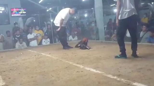 1st win of sweater gilmore