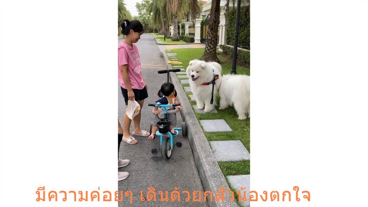 มีความค่อยๆ เดินด้วยกลัวน้องตกใจ