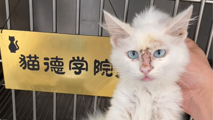 Bắt bốn lần đổi tên, bắt năm lần