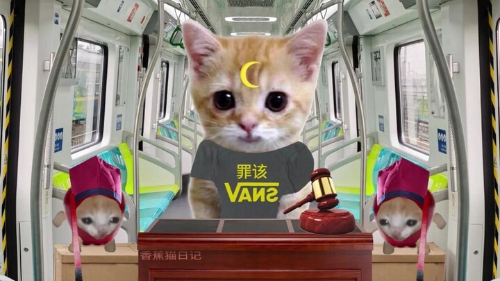 แมวกล้วยและแมวแฮปปี้พบกับผู้พิพากษารถไฟใต้ดิน